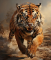 Preview: Diamond Painting Wilder-Tiger